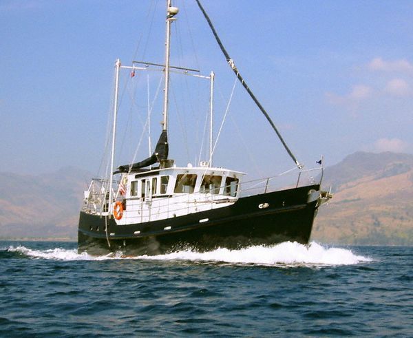 2019 Seahorse DIESEL DUCK 462 Trawler for sale - YachtWorld
