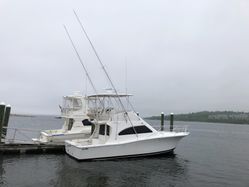 photo of  36' Luhrs 36 Convertible
