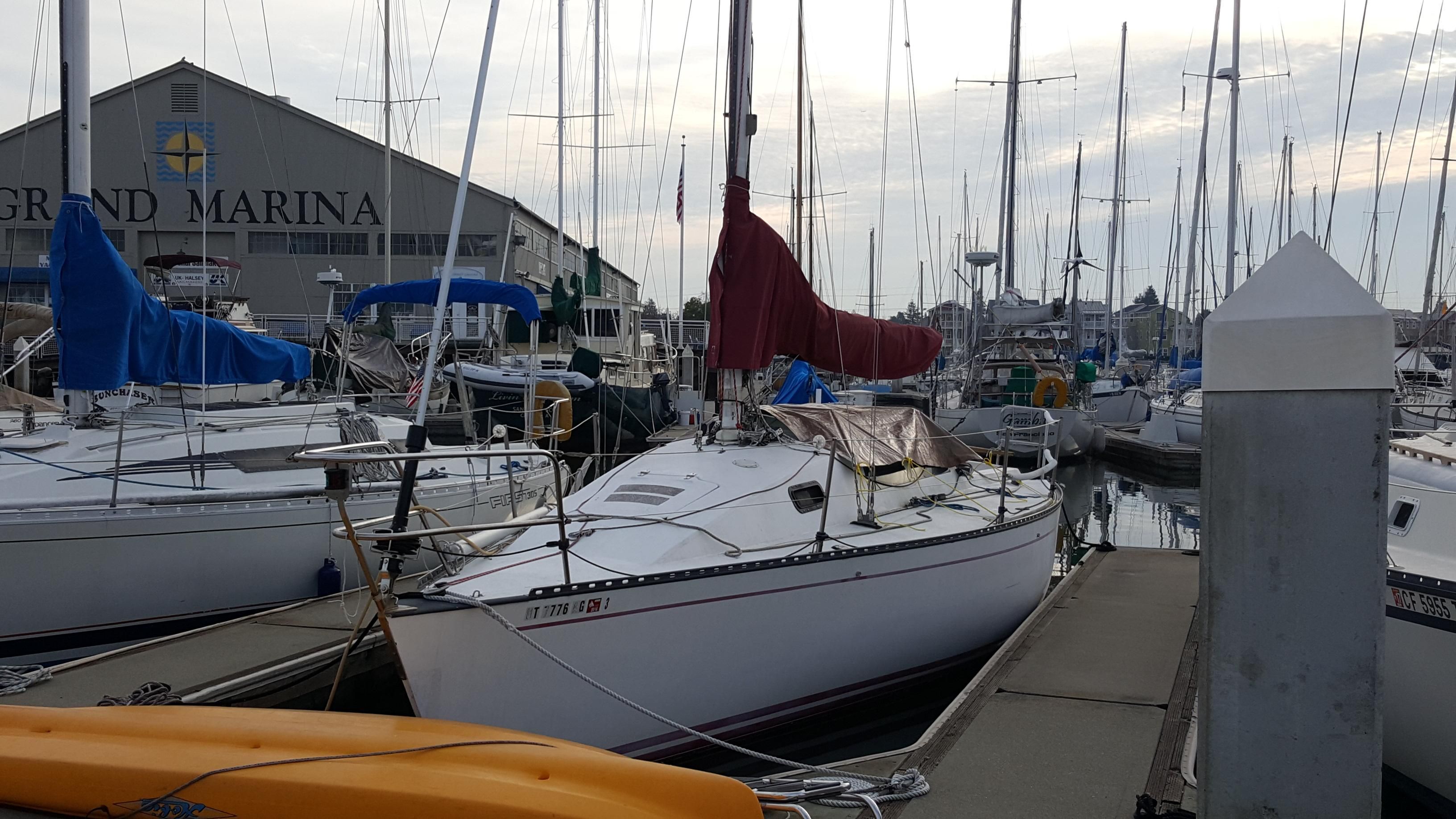 santana 30 sailboat for sale