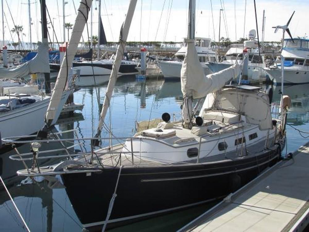 used morris sailboats for sale