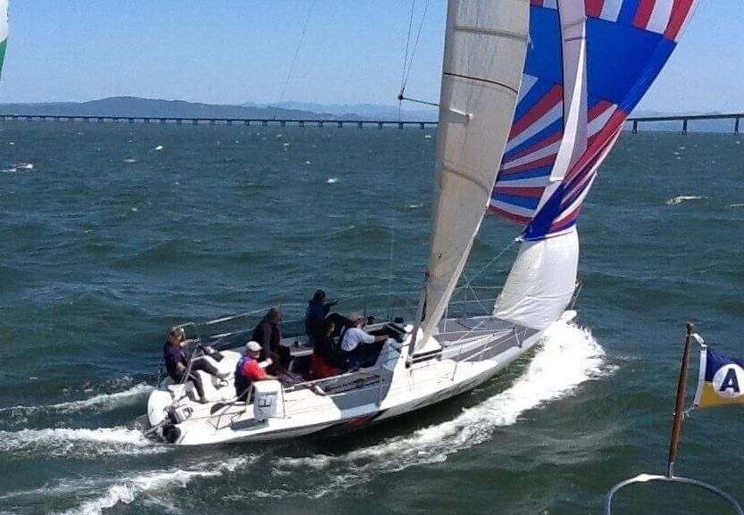 carrera 290 sailboat review