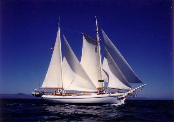 black witch sailboat