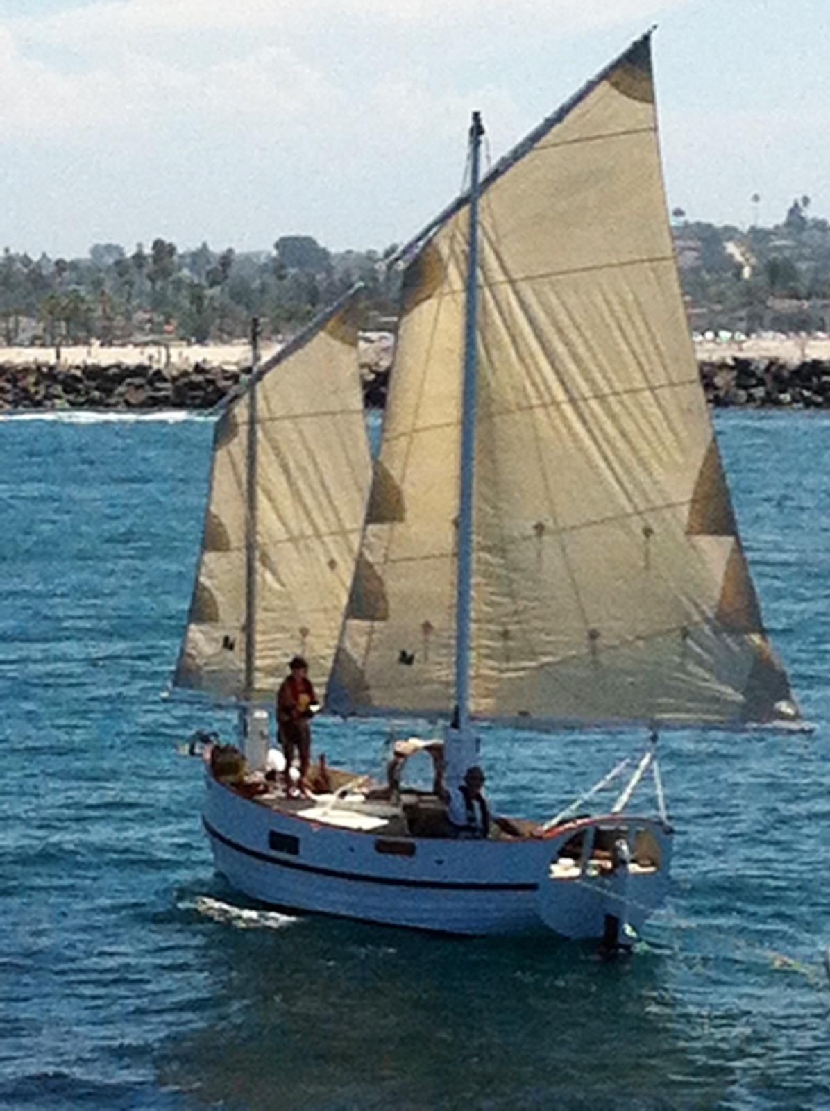 sharpie sailboat for sale