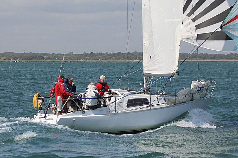 scampi sailboat for sale